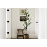 Olive Tree Rain Forest Style Artificial PE Bonsai 165cm Green Fire Retardant
