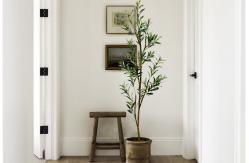 China Olive Tree Rain Forest Style Artificial PE Bonsai 165cm Green Fire Retardant supplier