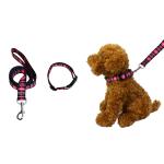 Bright Dog Lead And Collar Set Adjustable 30-48cm Buckledown Dog Collars for sale