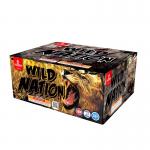 63 Shots New Item Rapid Tails Shooting Cake Fireworks for sale