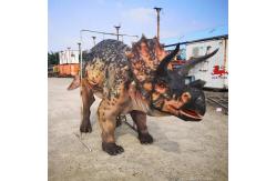 China Custom Realistic Adult Triceratops Dinosaur Costume For Two Performers supplier
