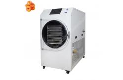 China lyophilization machine /lyophilizer freeze dryer/fruit freeze dryer supplier