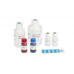 40T/Kit Male Infertility Test Kit For Detection Human Spermatozoan Nucleoprotein Maturity for sale