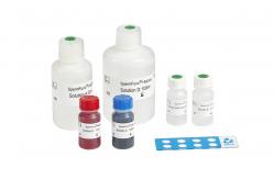 China 40T/Kit Male Infertility Test Kit For Detection Human Spermatozoan Nucleoprotein Maturity supplier