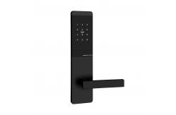 China TTM727  TThotel / TTLOCK App Smart password door Locks supplier