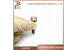 China L254PBD Delphi Diesel Injector Nozzle For Common Rail Injectors supplier