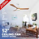 LED Ceiling Fan Decorative Lighting with Electric DC Motor and Remote Control Function for sale