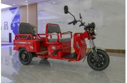 China 800w Passenger Electric Tricycle With Back Seat Foldable Safety Guardrail supplier