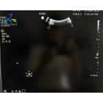  C6-2 Convex Array Transducer Probe Ultrasound Crystal and Lens Array Replacement for sale