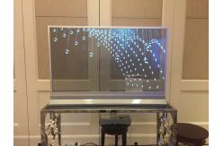 China High Refreshment Transparent OLED Display For Music Shows , Concert supplier