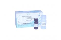 China 99% Accuracy Sperm CMA3 Staining Kit 3 - 5min Protamine Deficiency Test supplier