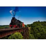 Door To Door North America Shipping for sale