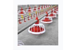 China Chicken Poultry Automatic Pan Feeding System Nipple Drinking Line supplier