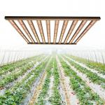 Dimmable 1000 Watt Led Grow Light For Horticulture for sale