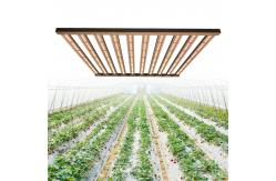 China High Par Full Spectrum 1000w Daisy Chain Led Grow Lights supplier