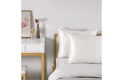 China Custom Organic 19mm Woven Mulbery Pure Silk Pillowcase For Acne Warrens supplier