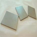 Customized Polished Niobium Austenitic Plate With 125Mpa Tensile Strength Standard ASTM B392-98 for sale
