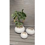 neutral beige natural speckled stone -mimic design round fiber clay planter earthy aesthetic lightweight durable low-maintainence flower pot holiday Villa office decoration garden landscaping project for sale