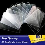 Promotional Price UV Curing Process Lenticular 100 LPI Resin PET Lens Plastic Flip 3D Lenticular Sheet factory Canada for sale