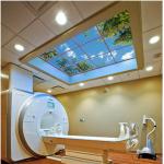 Virtual Skylights Mri Compatible Led Lighting Ceiling Panel for sale