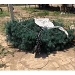 20m Height Communication Pine Tree Camouflage Cell Tower