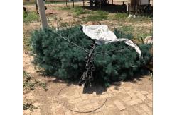 China 30 M Telecom Pine Tree Monopole Self Supporting Antenna Mast supplier