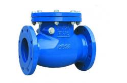 China Multi Single Disc Door Flanged PN10 Stainless Swing Check Valve supplier