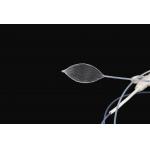 Clinical Convenient Operation Endoscopic Grasping Forceps With Net
