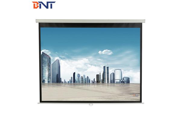 Switch / Remote Control Motorized Projector Screen With Synchronous Tubular Motor