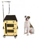 Foldable Escape Proof Heavy Duty Steel Dog Crate 40X27X33 ODM for sale