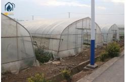 China Tomato Tunnel Greenhouse And Tunnel Vegetable Hot House For Extended Harvests supplier