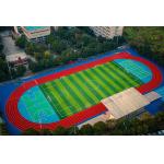 Soccer Artificial Grasses Sports Landscape Indoor Grass For Pets for sale