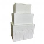 Heat preservation cold chain transport foam box