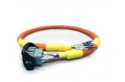 China Multi Core 250mm New Energy Vehicle Wiring Harness supplier