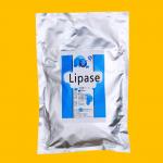 Light White Powder Lipases Enzymes 10000U/G-90000U/G Lipase Digestive Enzymes for sale