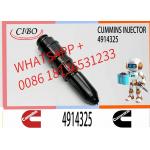 Sufficient stock engine fuel injector nozzle assy 3032392 4914308 4914325 unit pump for excavator NT855 Shantui bulldoze for sale