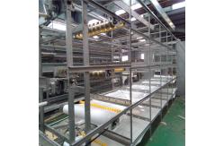 China H Frame Cage Design Automatic Broiler Feeding System for Advanced Farms supplier