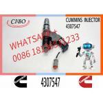 CUMMINS Fuel Systems QSM ISM Diesel Engine CUMMINS 4307547 Fuel Injector diesel Fuel Injector cummins M11 Engine Parts for sale