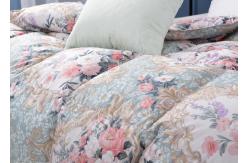 China 150x210cm 100% Washed Cotton Duck Down Duvet supplier