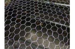 China 5/8 Hexagonal Wire Netting Positive Twist Reverse Twist Double Twist supplier