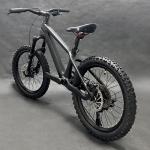 20er Kids Mountain Bike Disc Brake Shimano 10 Speed Bicycle For Children