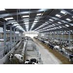 China Corrosion Resistant Steel Structure Poultry House 8 - 30 Meters Steel Farm Buildings for sale