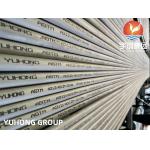 Straight Large Stainless Steel Pipe / SS 310SSeamless Pipe High Durability,ABS, GL, DNV, NK, PED, AD2000, GOST9941-81, C for sale