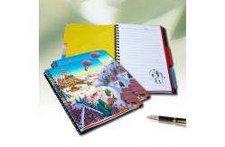 China School Students Stationery 3D Lenticular Notebook Plastic Material A3 A4 Size supplier