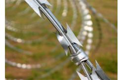 China Binding Hdg Low Carbon 2.5mm Razor Blade Barbed Wire supplier