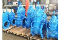 China Resilient Seated Gate Valve With Stem Cap Wrench Nut Undergound Buried supplier
