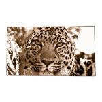 Original LG LCD Video Wall Panels LD550DUS-SEF1 1920*1080 Resolution for sale