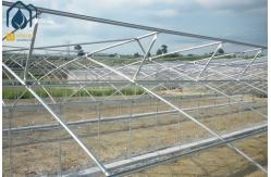 China Agriculture Multi Span Poly Tunnel Greenhouse Environment Friendly For Vegetables supplier