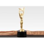 260mm Height Custom Metal Trophies , Sports Competition Custom Trophy Awards for sale