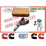 Diesel Engines QSM11 QSM11 Injector 4928517 3411752 3411761 4307547 4928171 3411753 3037772